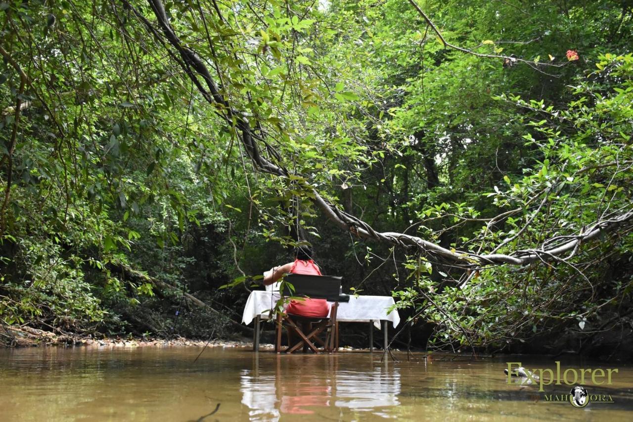 Explorer By Eco Team - Wasgamuwa National Park Экстерьер фото