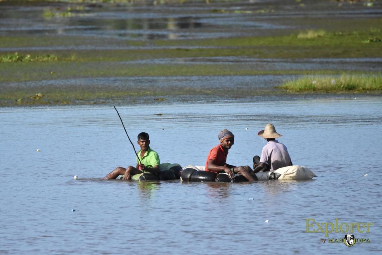 Explorer By Eco Team - Wasgamuwa National Park Экстерьер фото