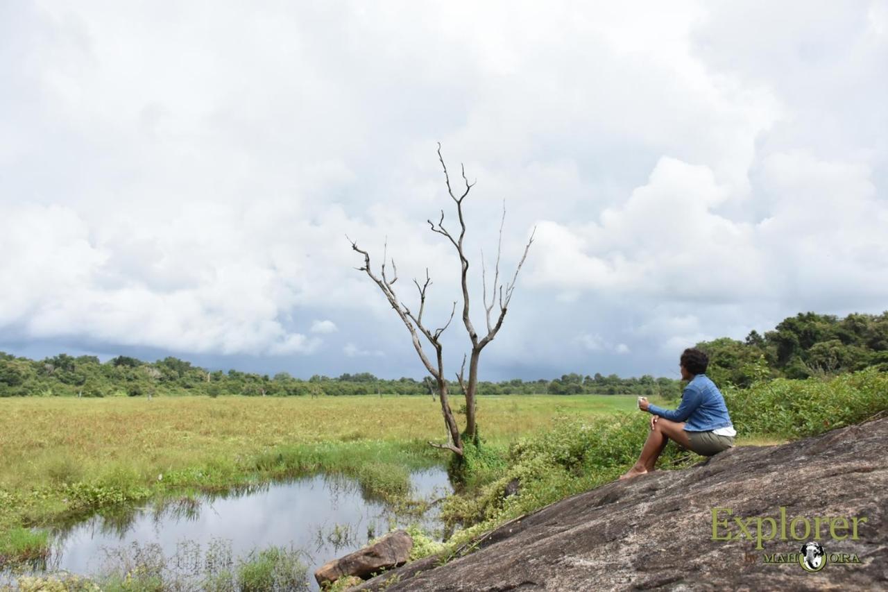 Explorer By Eco Team - Wasgamuwa National Park Экстерьер фото