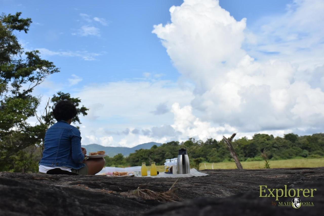 Explorer By Eco Team - Wasgamuwa National Park Экстерьер фото