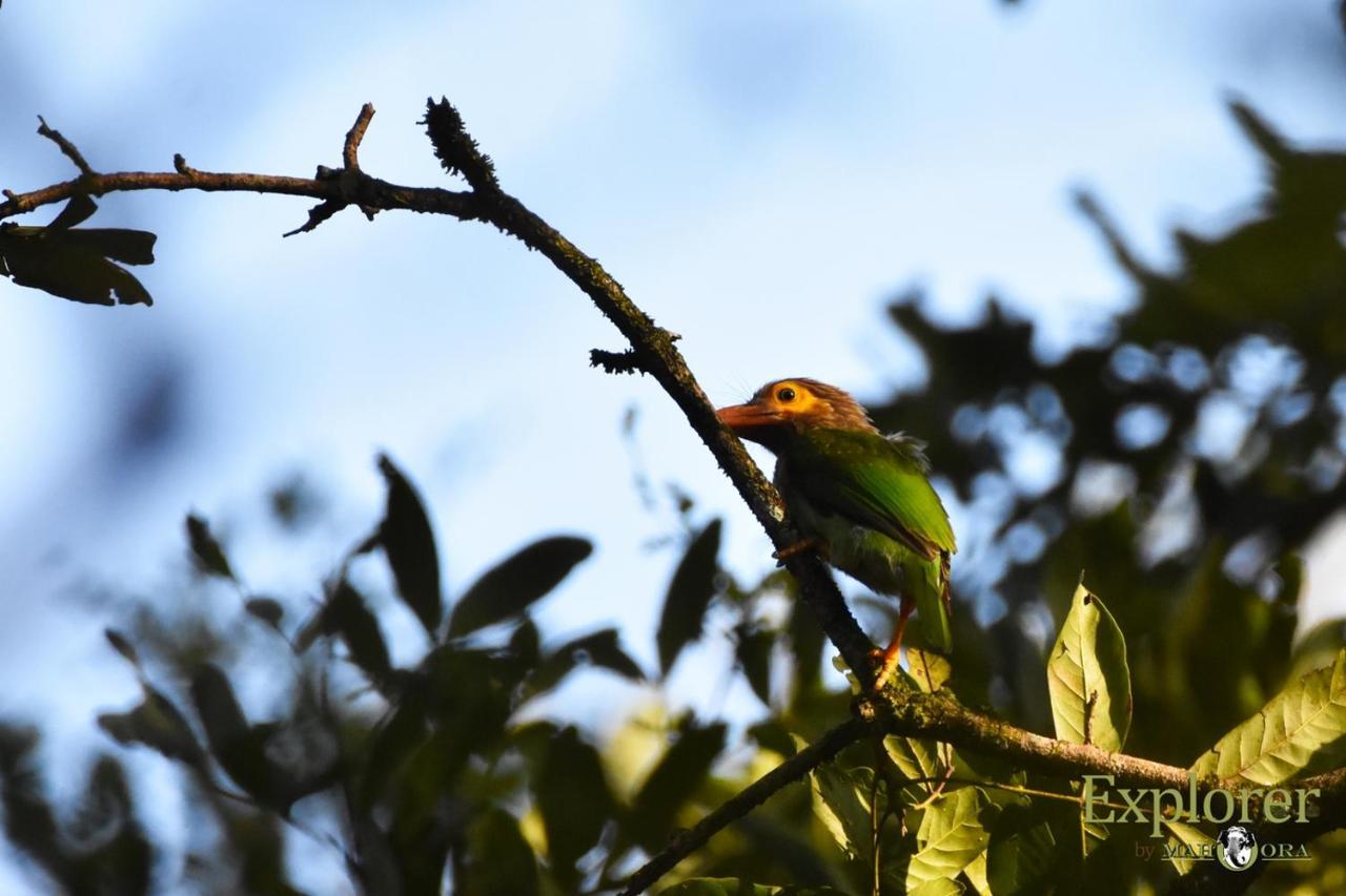Explorer By Eco Team - Wasgamuwa National Park Экстерьер фото