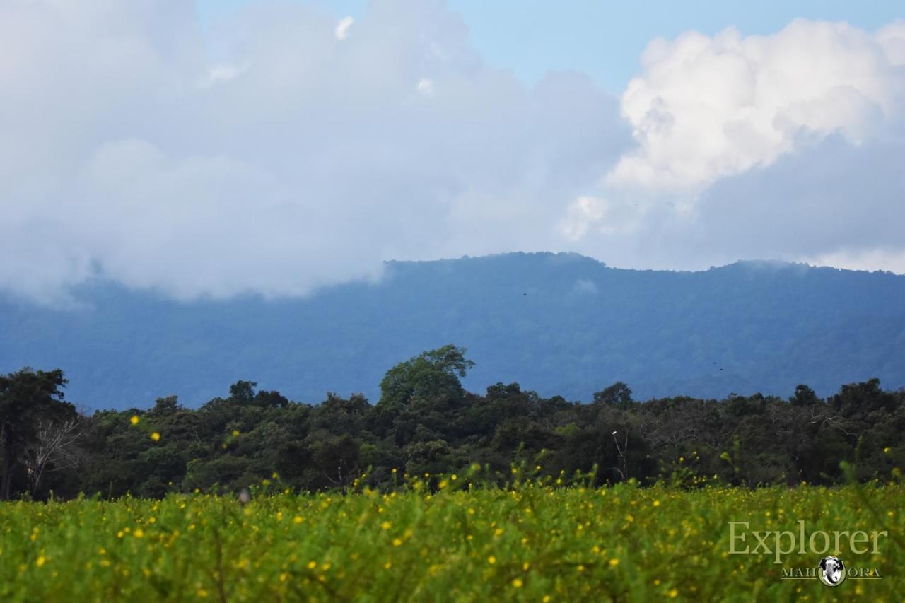 Explorer By Eco Team - Wasgamuwa National Park Экстерьер фото